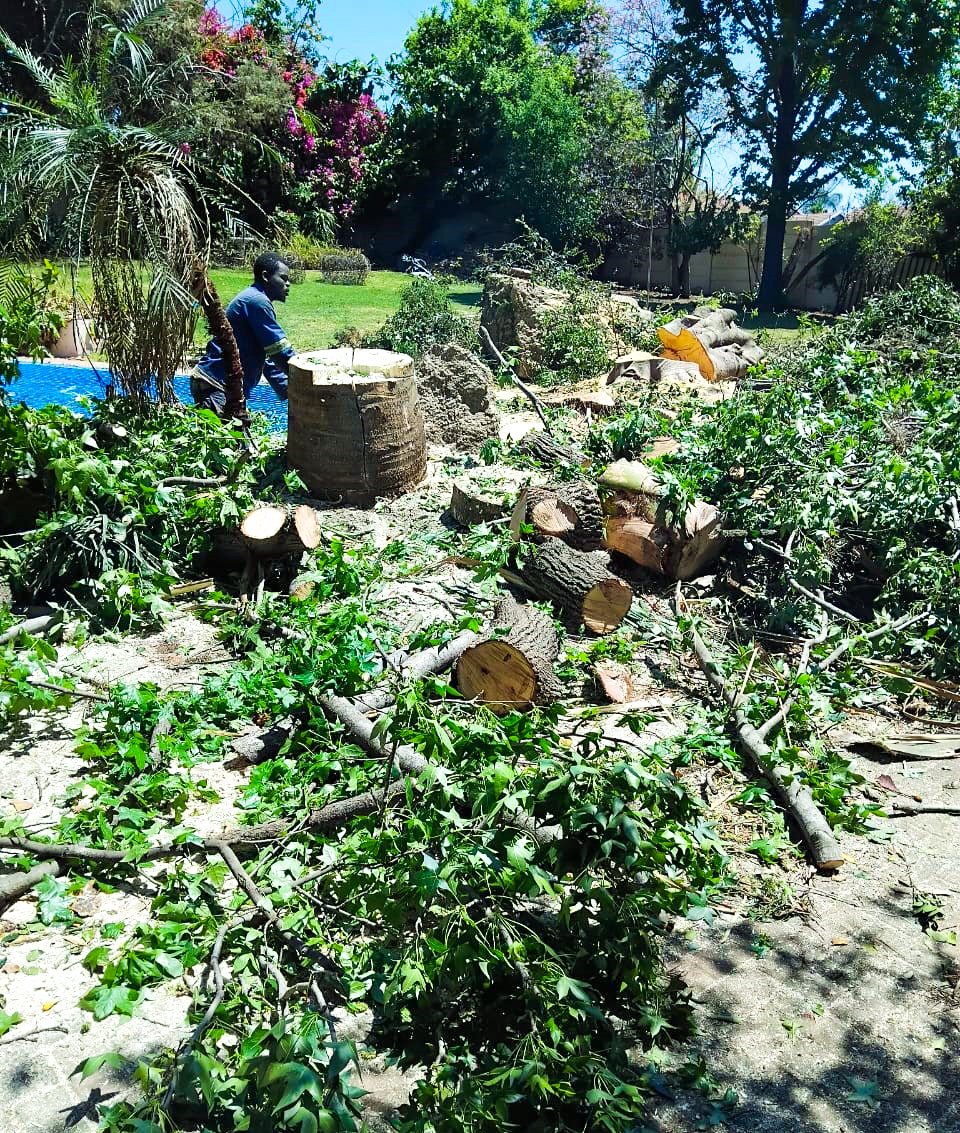 Site Clearance Project