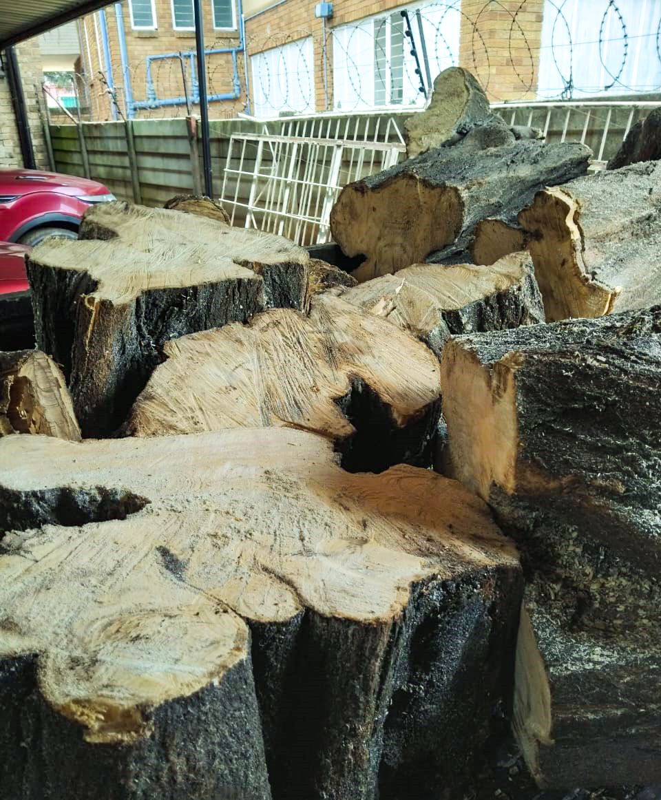Stump Grinding Detail