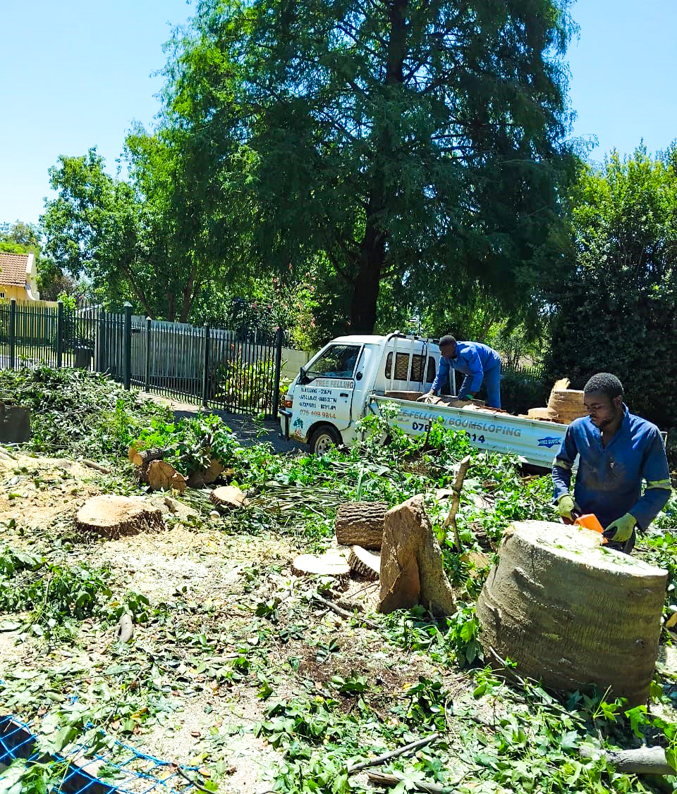 Stump Removal Operation