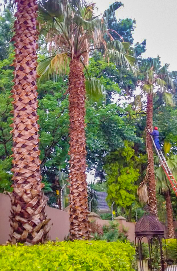 Precision Pruning